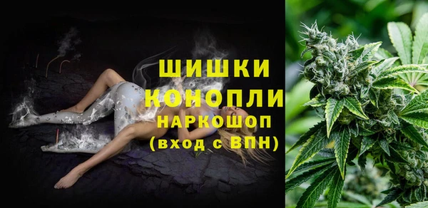 спиды Бронницы